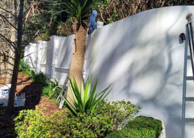 House - wall painting